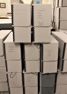 Criminal Court Case Files Hollinger Boxes