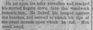 Daily American clipping from January 3rd, 1892