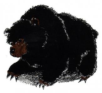 large bear