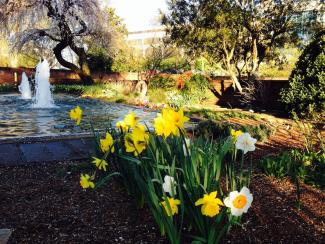 Garden at Centennial Park Art Center 2019